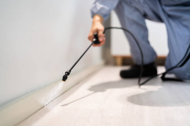 Licensed Pest Control service in Monona, IA - Show Me Pest Control